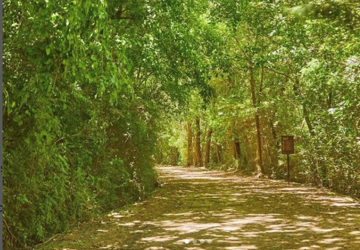 Lote en Venta en Nativas, Puertos 100, Nativas, El Cazador
