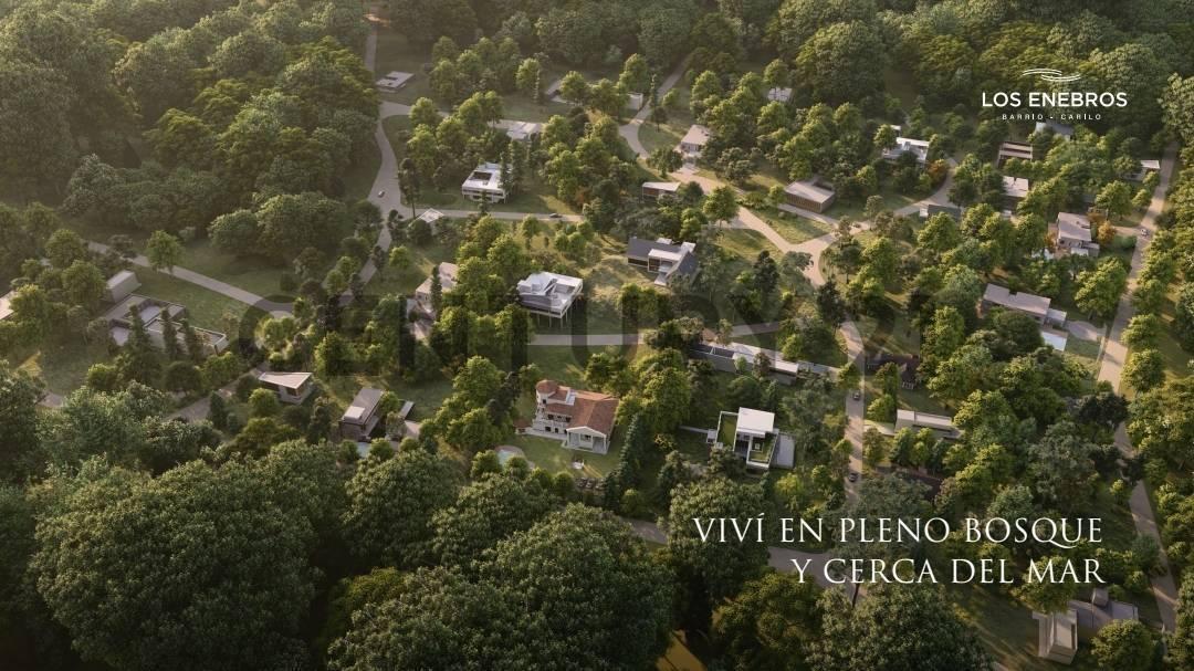 Zorzal y Fresno, Cariló, Buenos Aires Costa Atlántica