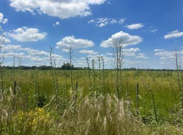 Campo · 50000m² · 1 Ambiente · Campo en Venta Etchegoyen Lujan Exaltacion de La Cruz