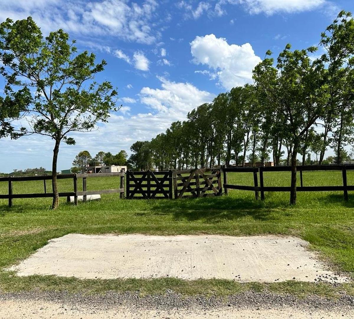 Haras El Malacate, Haras el Malacate, Exaltación de la Cruz