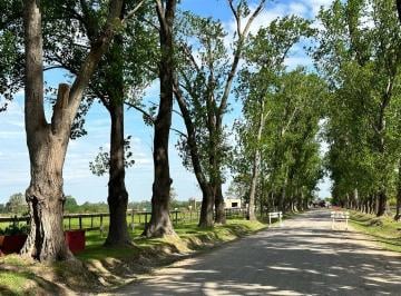 Terreno · 5000m² · Chacra Venta Exaltacion de La Cruz Media Hectarea Financia