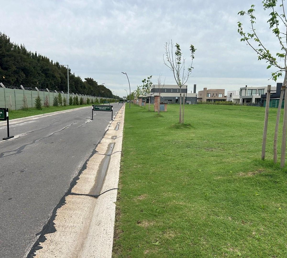 Lote en Venta en Carpinchos, Nordelta 100, Carpinchos, Nordelta