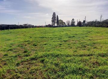 Terreno · 3641m² · Terreno en Venta - 3.641 m² - La Matanza
