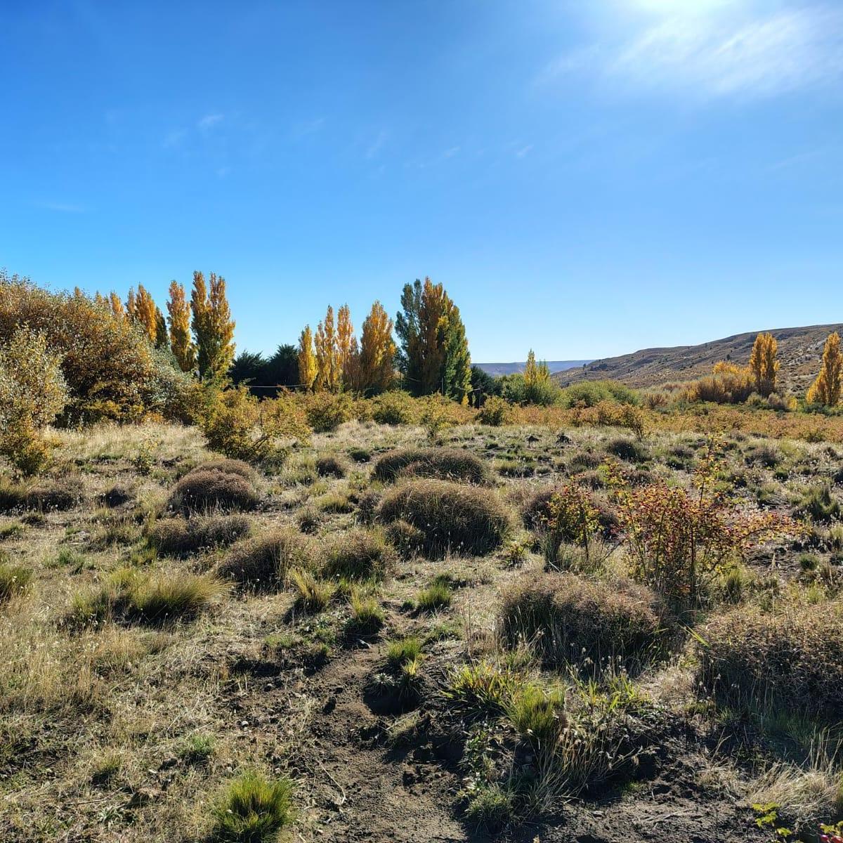 Paraje Chapelco Grande, Ruta 40 Km 2232, Las Marías del Valle Club de Campo, San Martín de los Andes