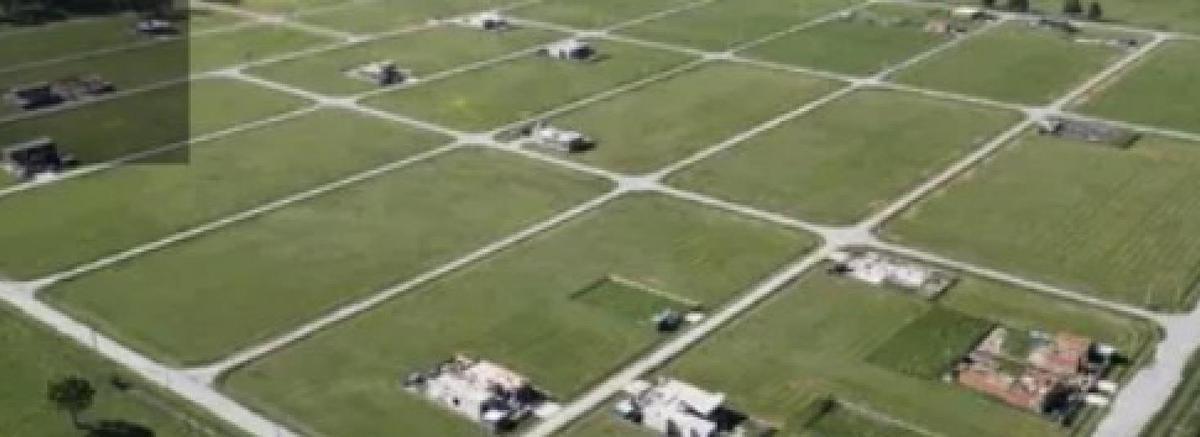 Fincas de San Vicente,  Fincas de San Vicente, San Vicente