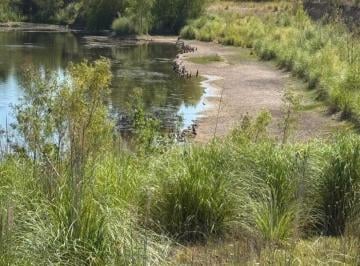 Campo · 350000m² · 1 Ambiente · Cantera en Venta en San Andrés de Giles