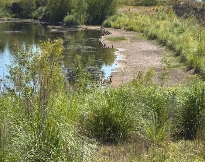 Campo · 350000m² · 1 Ambiente