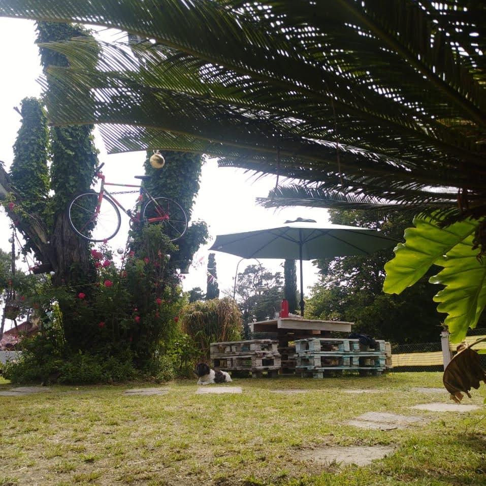 Paseo 112 674