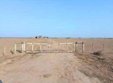 Campo · 4865ha · Campo | Venta a Tranquera Cerrada | con 900 Vientres Braford |financia | Santiago del Estero |