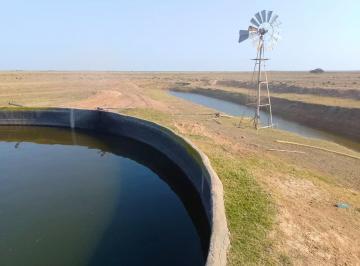 Campo · 4865ha · Campo | Venta a Tranquera Cerrada | con 900 Vientres Braford |financia | Santiago del Estero |