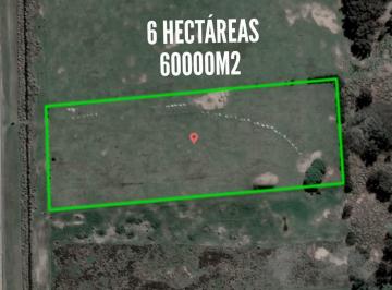 Campo · 60000ha · Chacra en Venta - 6ha - La Lucila del Mar