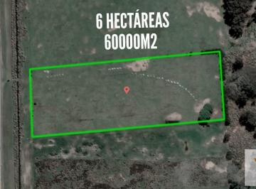 Campo · 60000ha · Chacra en Venta - 6ha - La Lucila del Mar