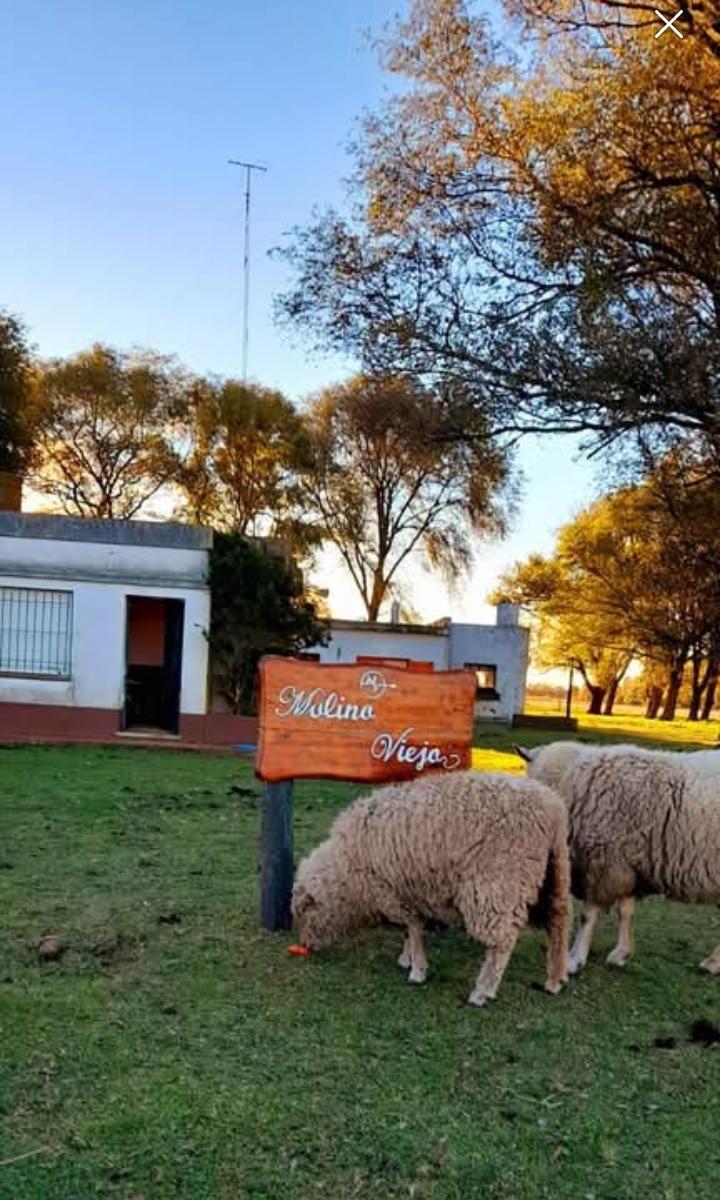 Ruta Provincial 76, D'Orbigny, Coronel Suárez