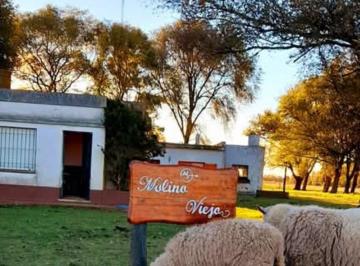 Quinta vacacional de 2 ambientes, Coronel Suárez · Chacra 2ha con 3 Casas
