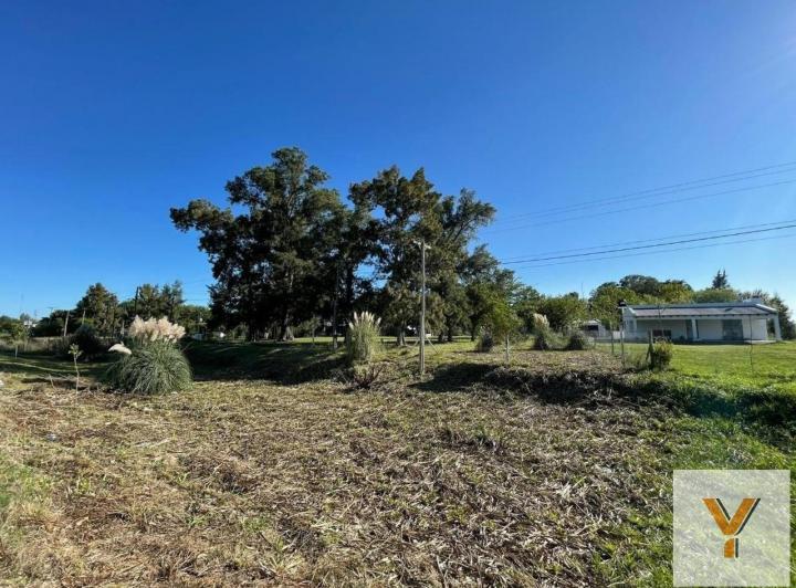 Terreno · 694m²