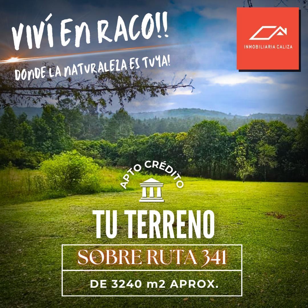 Venta Lote/terreno DE 3240m2 EN Raco - Sobre Ruta 341, Tafí Viejo, Tucumán