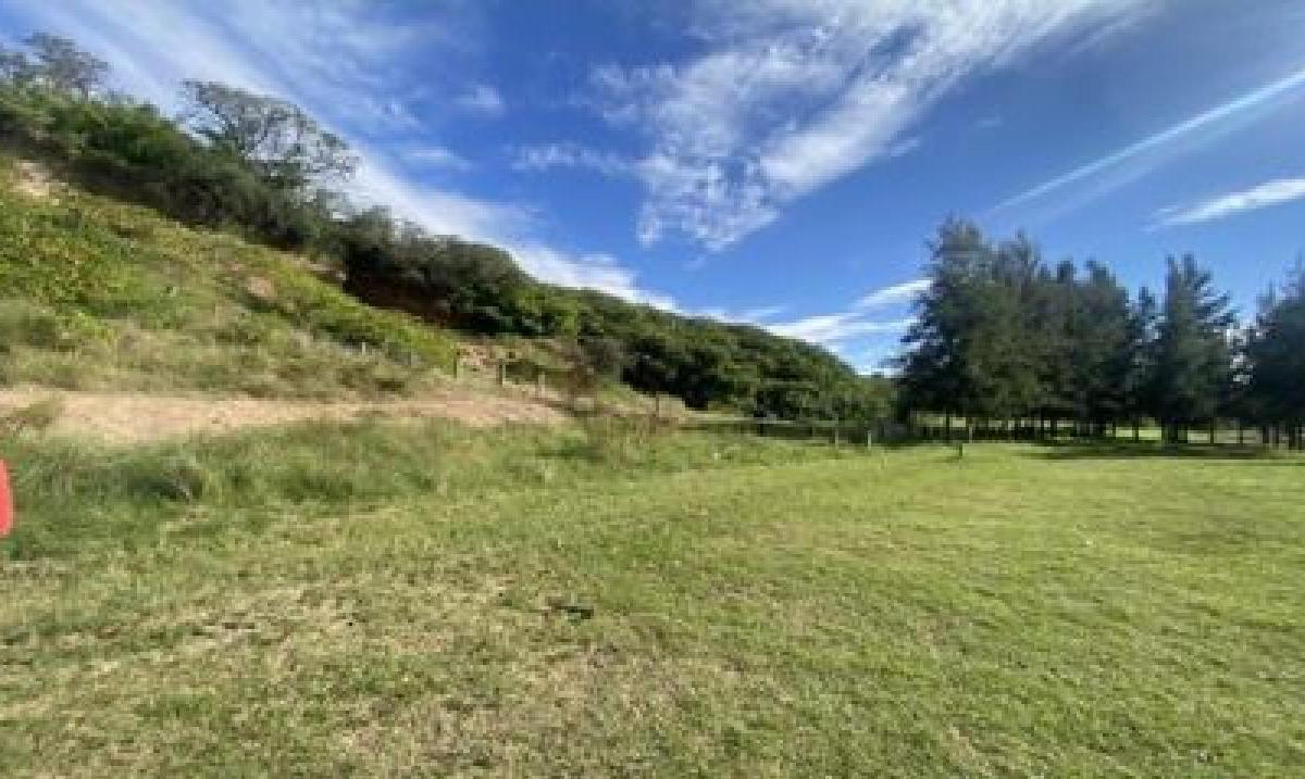 Ruta Provincial 41 y Avenida Almirante Brown, Baradero, Baradero