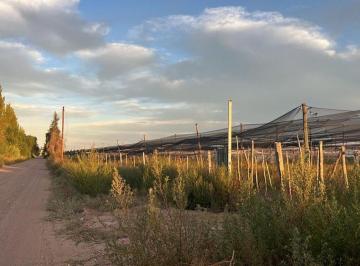 Campo · 9941ha · Venta Finca en Chapanay San Martin