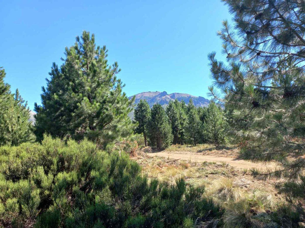 Acceso Al Challhuaco S/N,  Centro, San Carlos de Bariloche