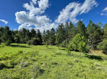 Terreno · 43500m² · Se Vende Lote de 4 Ha en San Clemente