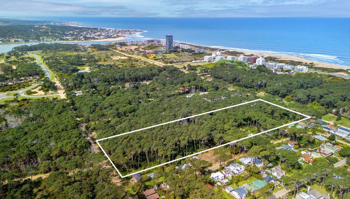 Avenida Miguel Angel S/N, Playa Brava, Maldonado