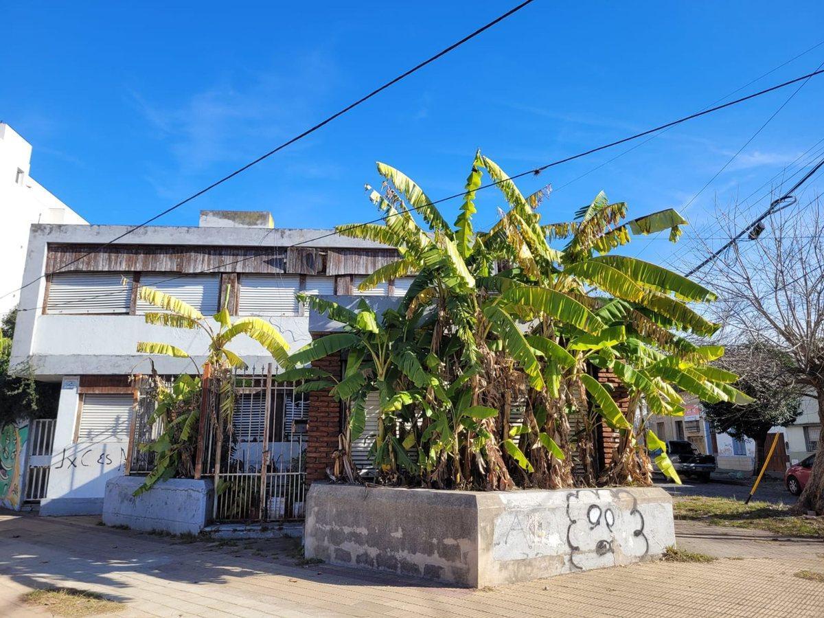 Diagonal 74 E/ 37 y 115 0,  La Plata, La Plata