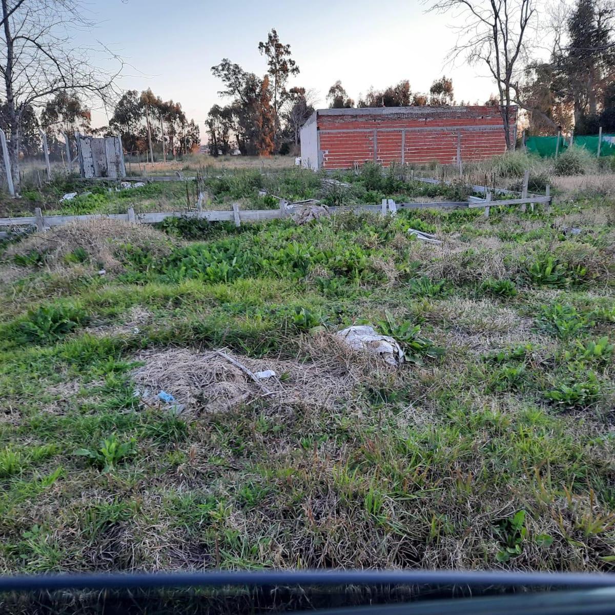 Avenida 122 y 613, La Plata, GBA Sur