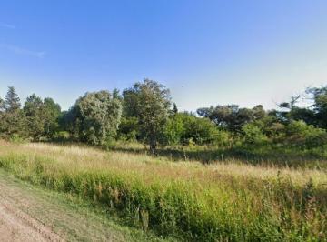 Campo · 10100m² · Campo en Venta - 10.100 m² - Chivilcoy