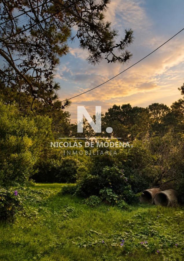 Aigua ,Manantiales,Otros Paises, Maldonado, Uruguay
