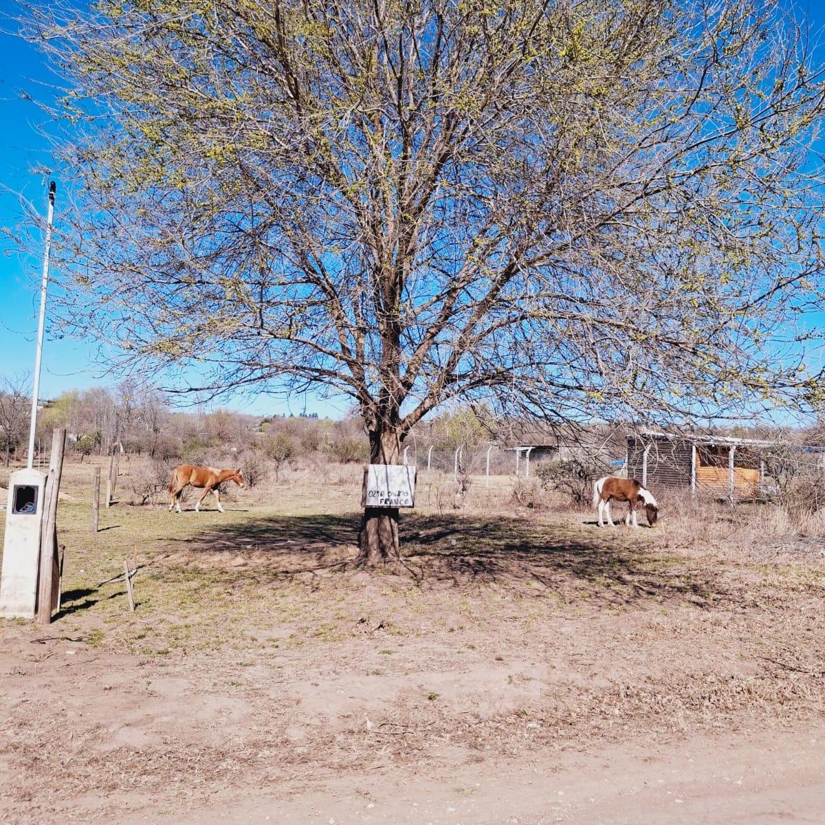 Las Altas Cumbres, Villa Parque San Roque, Tanti