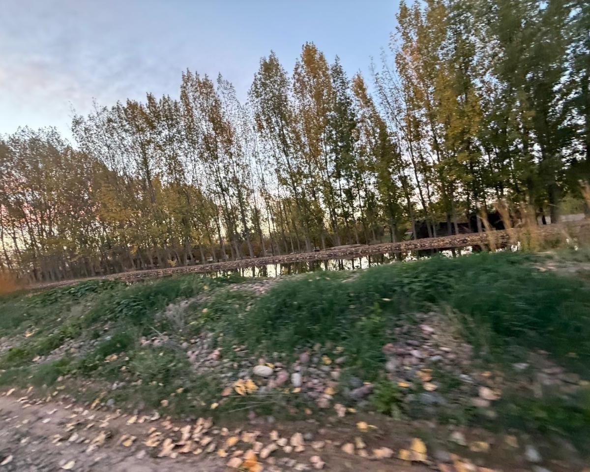 Cobos al 7200,  Luján de Cuyo, Mendoza