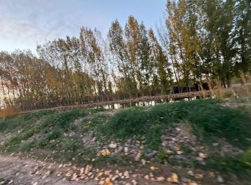 Bodega-Galpón · 916m² · 1 Ambiente · Venta Importante Galpón en Una Hectárea y Media de Terreno en Agrelo, Luján.