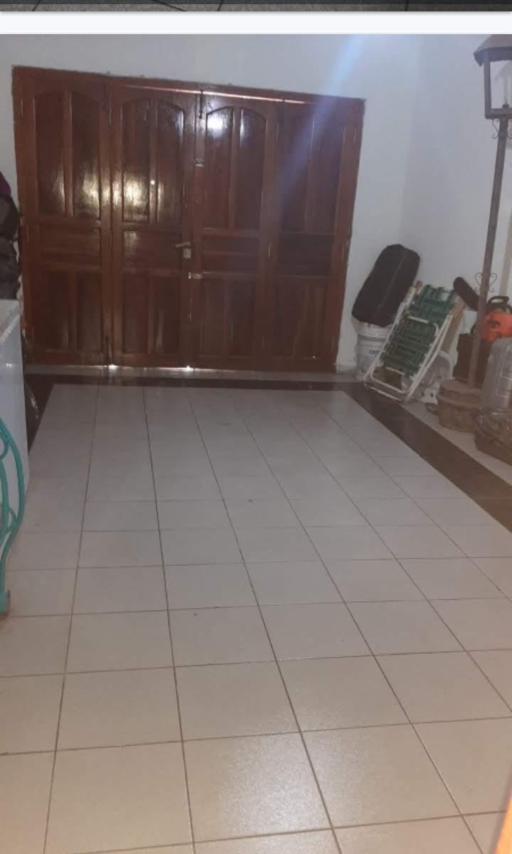 Benteveo 3625