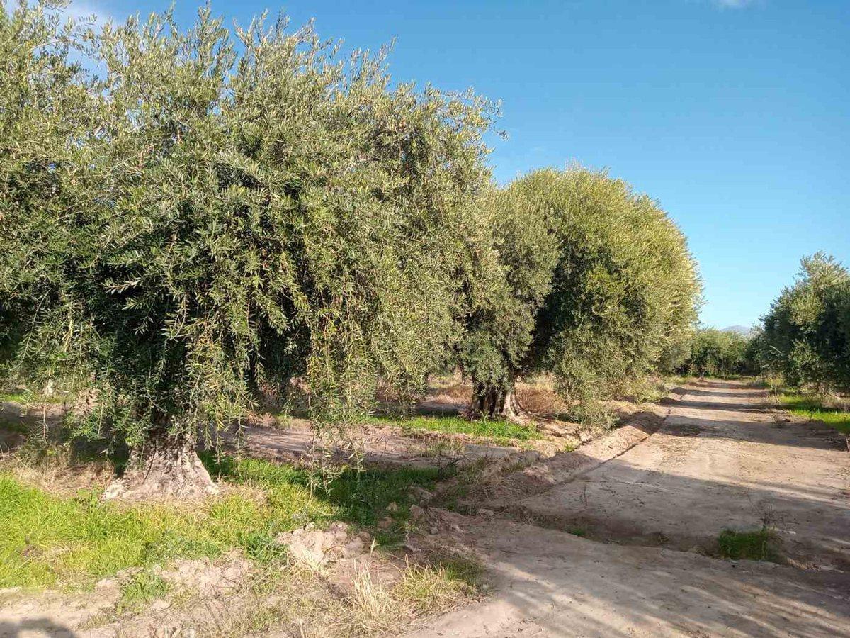 Ruta 60 S/N,  Russell, Mendoza