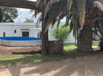 Campo · 300ha · Venta Campo 16 Ha con 2 Casas y ´pileta Suipacha