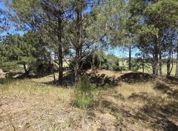 Terreno · 1000m² · Lote Venta Ecuestre Costa Esmeralda Vista Al Campo