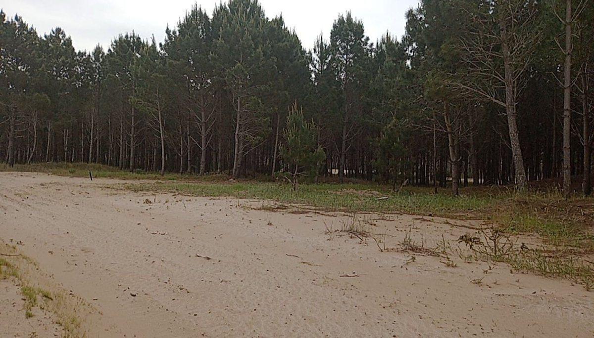 Cortaderas 0,  La Frontera, Pinamar