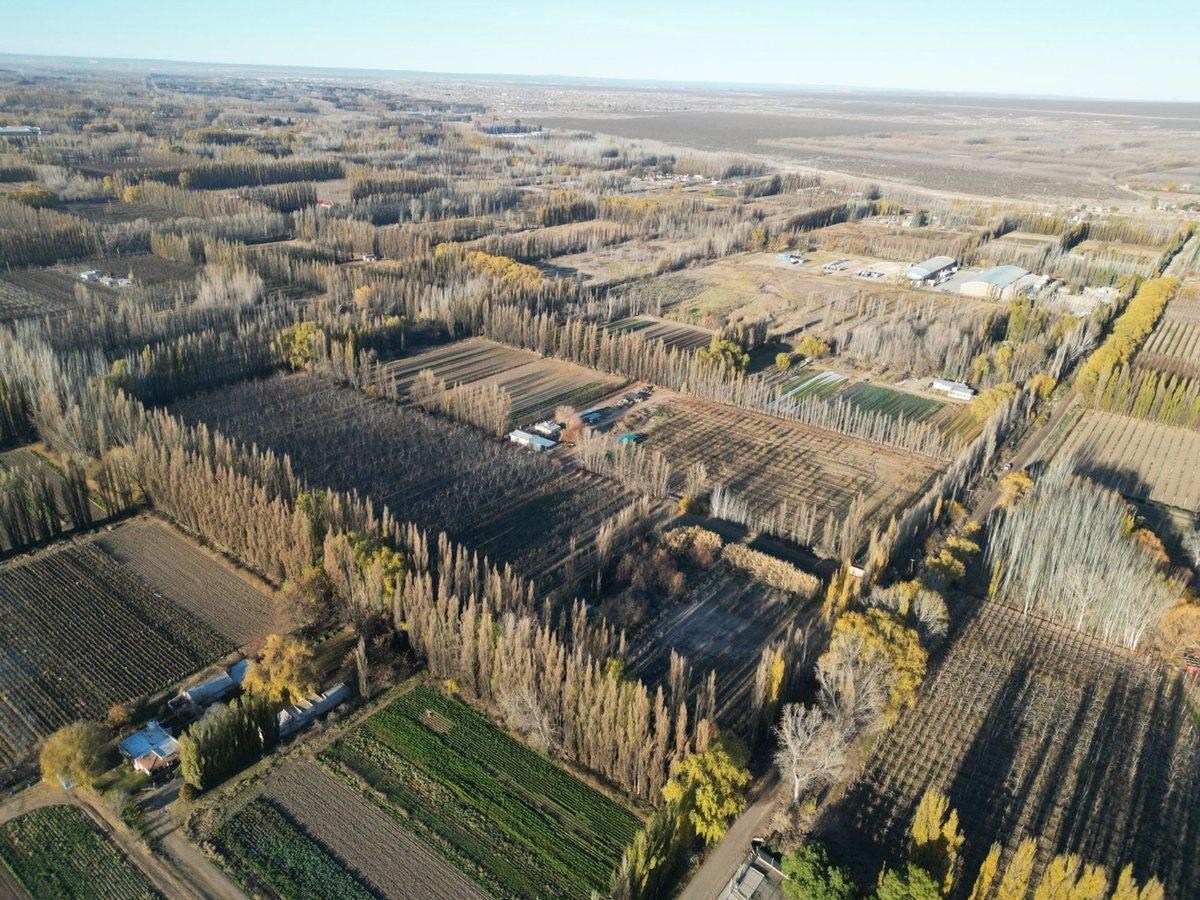 Calle 0, Confluencia Urbana, Neuquén