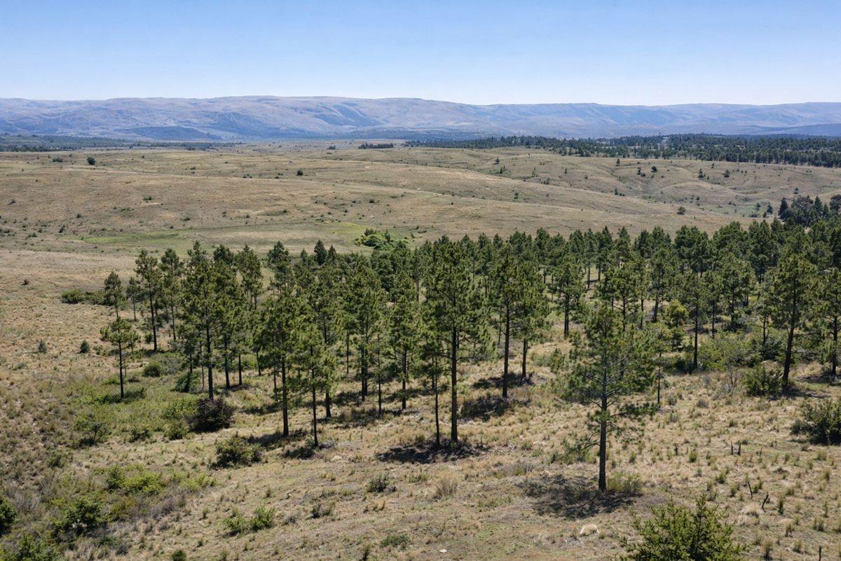 Sin Nombre 0, Sierras de Calamuchita, Córdoba
