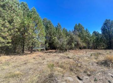 Terreno · 600m² · Venta Lote 99 Solares del Este