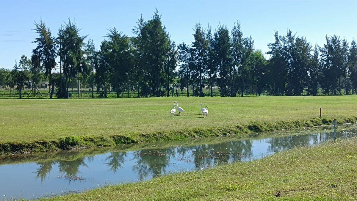 Ruta 2 Km 69 0,  Haras del Sur III, Brandsen