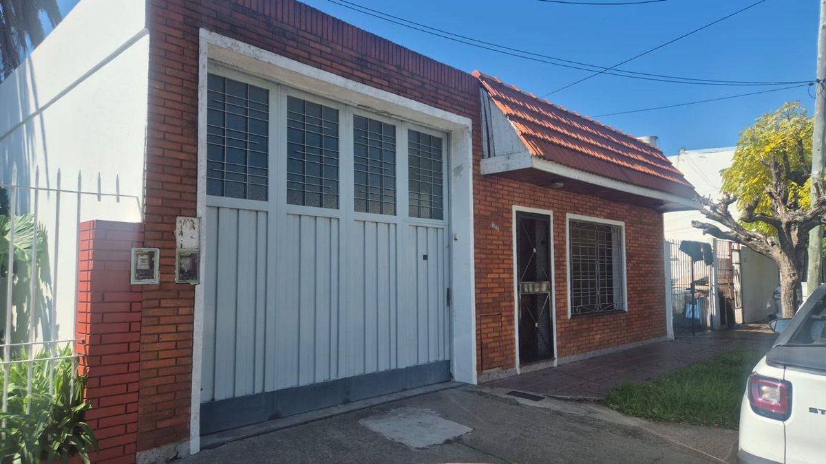 Campichuelo 6000