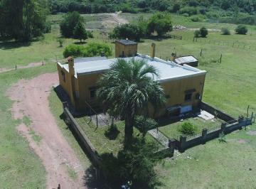 Campo · 200ha · Se Vende Chacra de 19h Próxima a Treinta y Tres