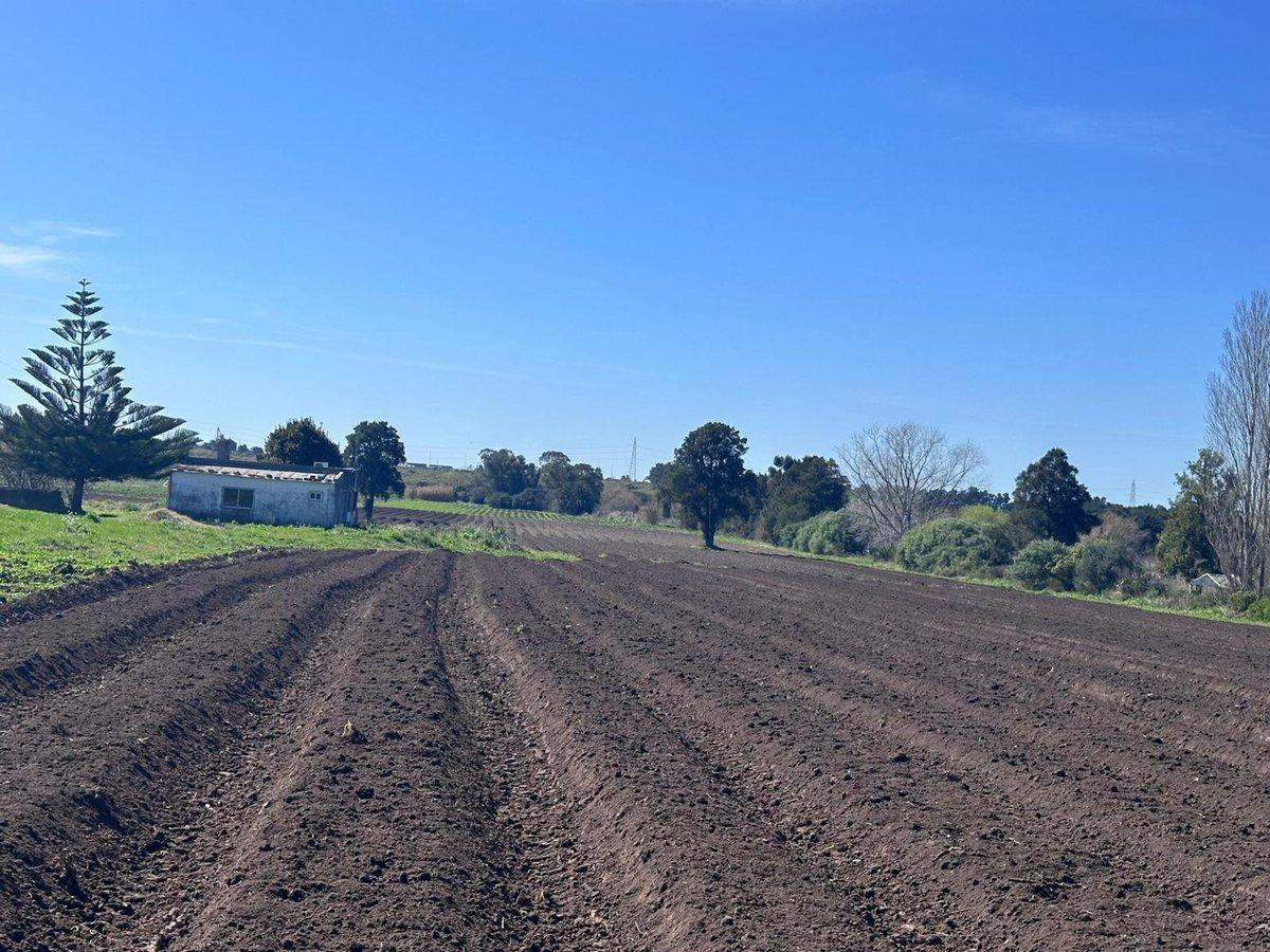 Camino O'higgins 8700, Paso de la Arena, Montevideo