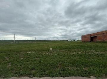 Terreno · 600m² · Venta Lote La Barrio La Barranca