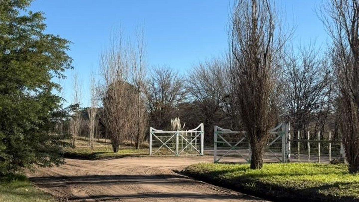 Gardela S/N, Bragado, Bragado