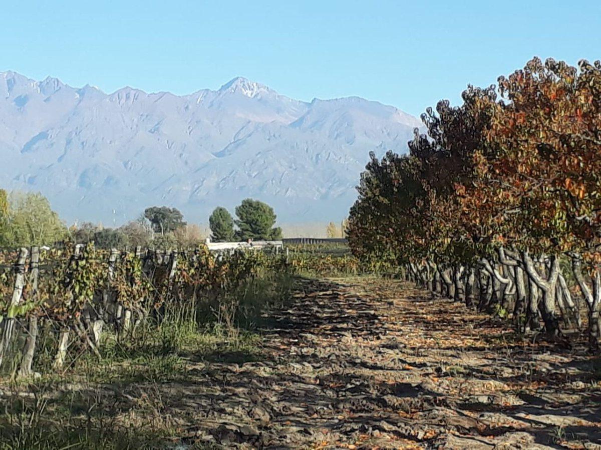 NicolÁs Quiroga S/n 0,  La Consulta, Mendoza
