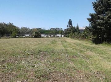 Terreno · 280m² · Casa a Refaccionar en San Carlos