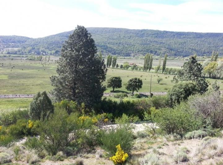 Terreno · 1317m²
