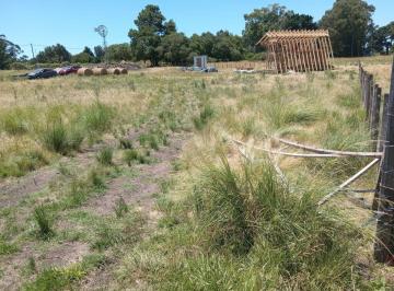 Terreno · 800m² · Venta Terreno Santa Isabel